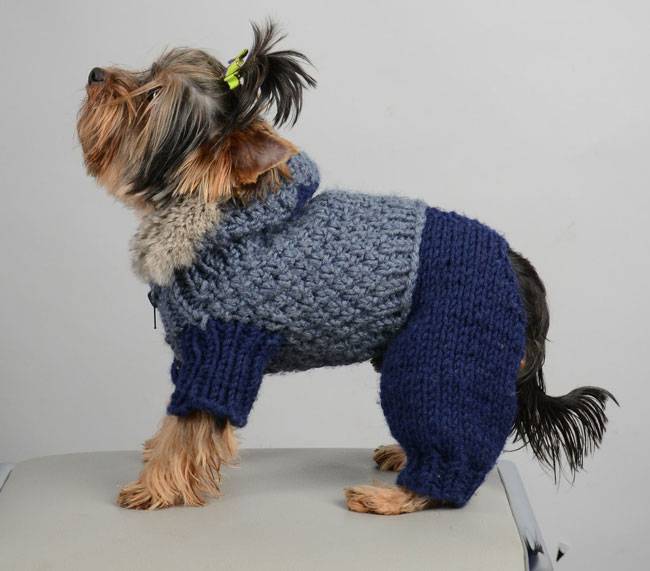 Вязание одежды для собак схема. схемы вязания для маленьких собак. как связать собаке свитер для начинающих спицами. вязание для собак схемы описание, комбинезон, костюм, шапка, спицами, крючком. схемы вязания для собак