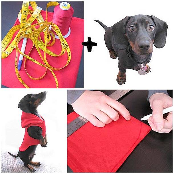 Ошейник для собаки своими руками: способы его быстрого изготовления из подручных материалов