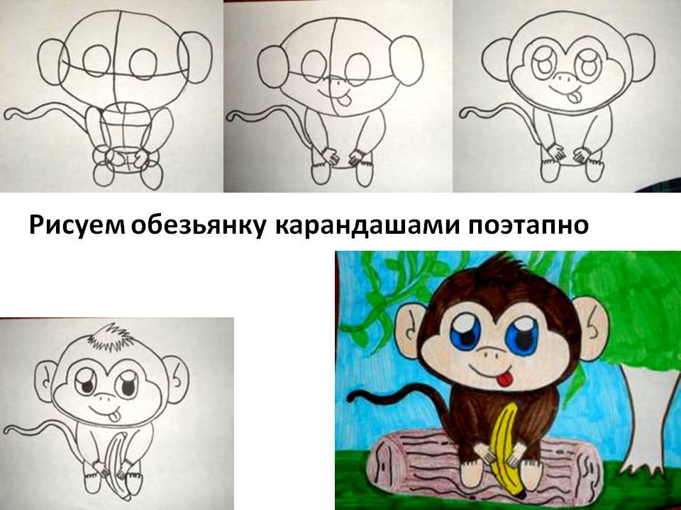 Как нарисовать обезьяну - wikihow