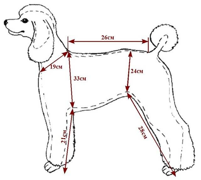 Выкройка комбинезона для собаки удобный покрой