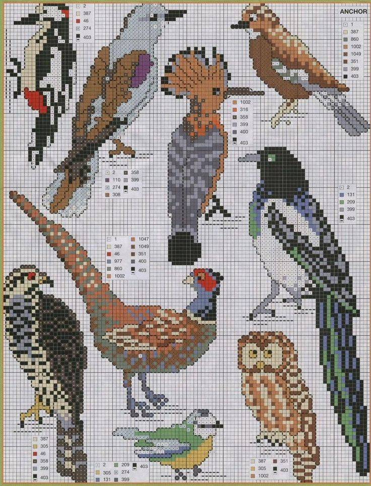 Разные птицы в схемах для вышивки крестом