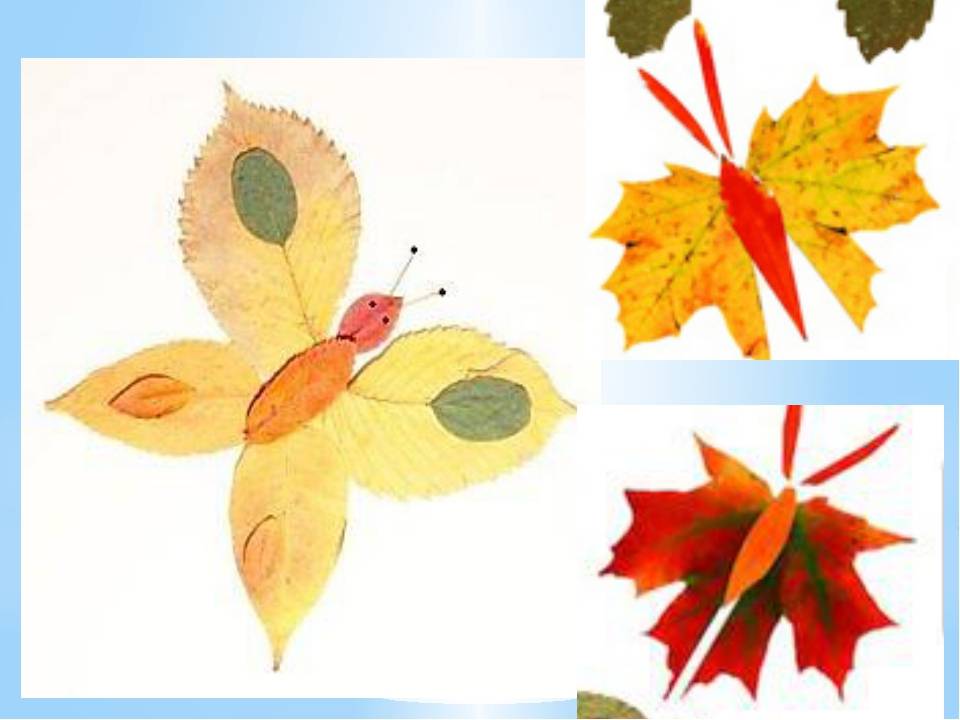 Аппликация из листьев (110 фото): учимся, как сделать интересную поделку из листьев. аппликация на осеннюю тему своими руками
