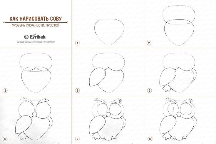 Как нарисовать сову поэтапно для детей — megamaster.info