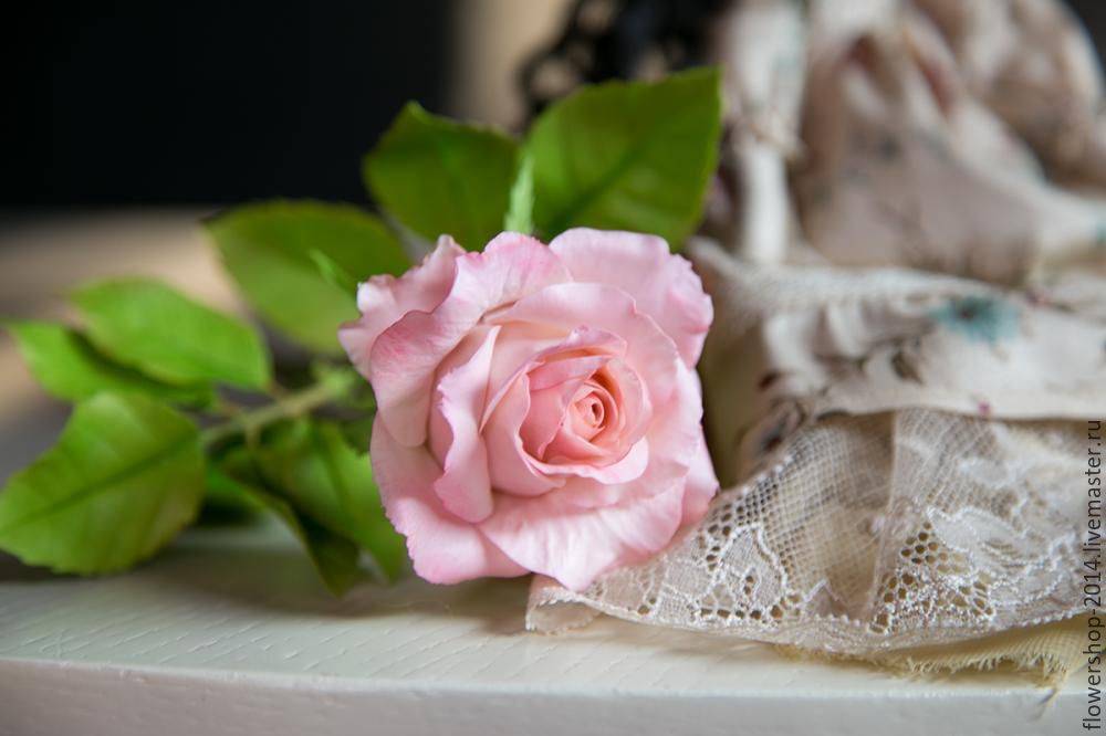 Мастер класс по холодному фарфору: розы для начинающих без варки - сайт о рукоделии