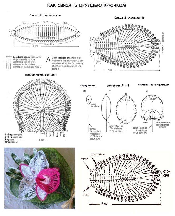 Орхидеи крючком со схемами и описанием: пошаговые руководства для рукодельниц