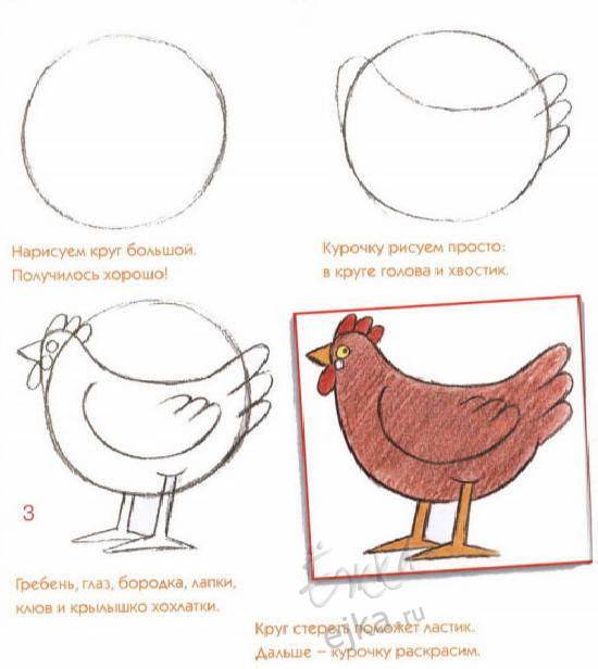 Как нарисовать курицу для детей 8 лет