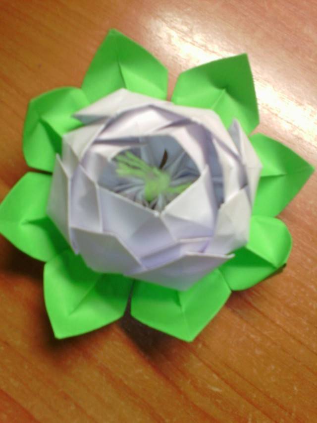 Оригами лотос. мастер-класс класс с пошаговыми фото
