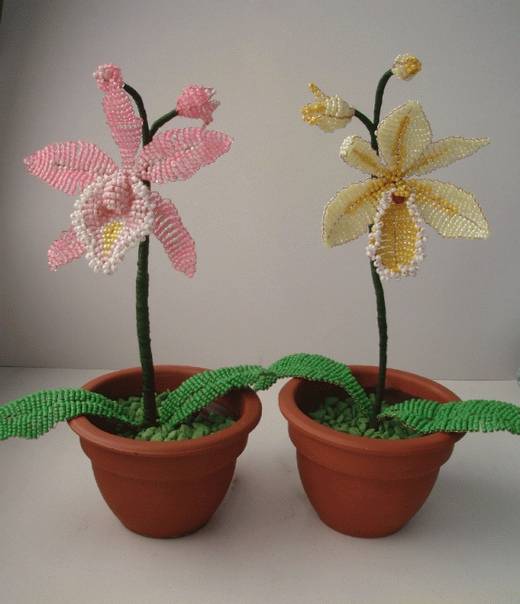 Орхидея из бисера: схема, орхидея из бисера видео, как сделать орхидею из бисера и пошаговый мастер-класс