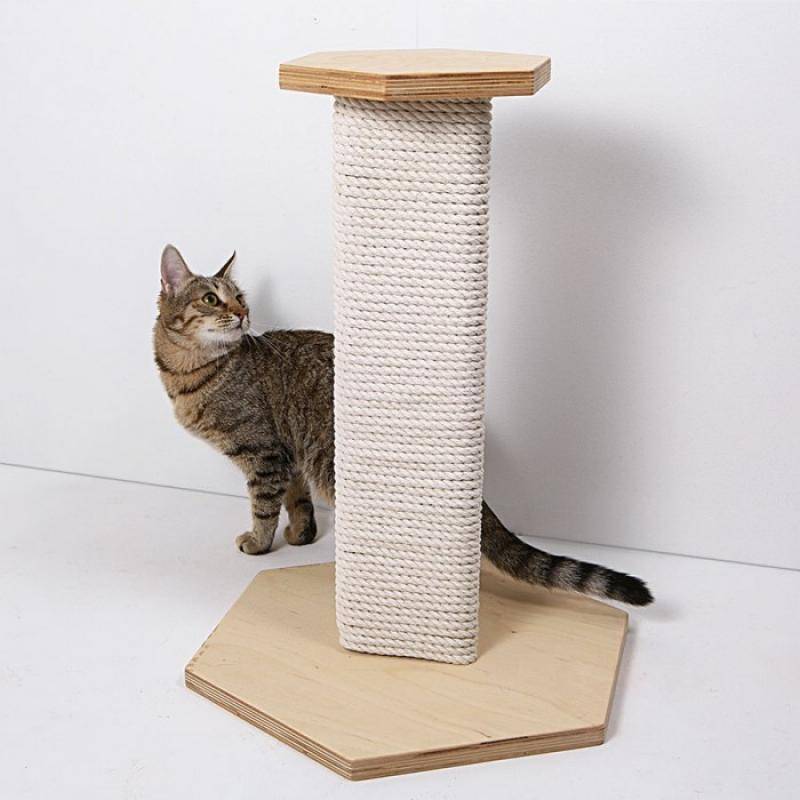 Домик для кошки своими руками (100 фото) - пошаговая инструкция, простые схемы с описанием этапов работы