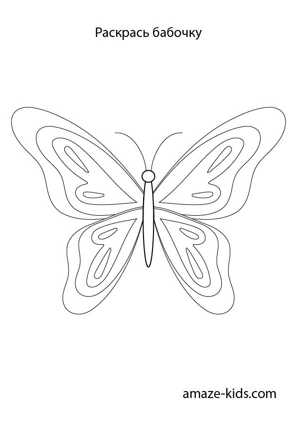 Как нарисовать бабочку поэтапно карандашом и красками - мастер-классы для начинающих