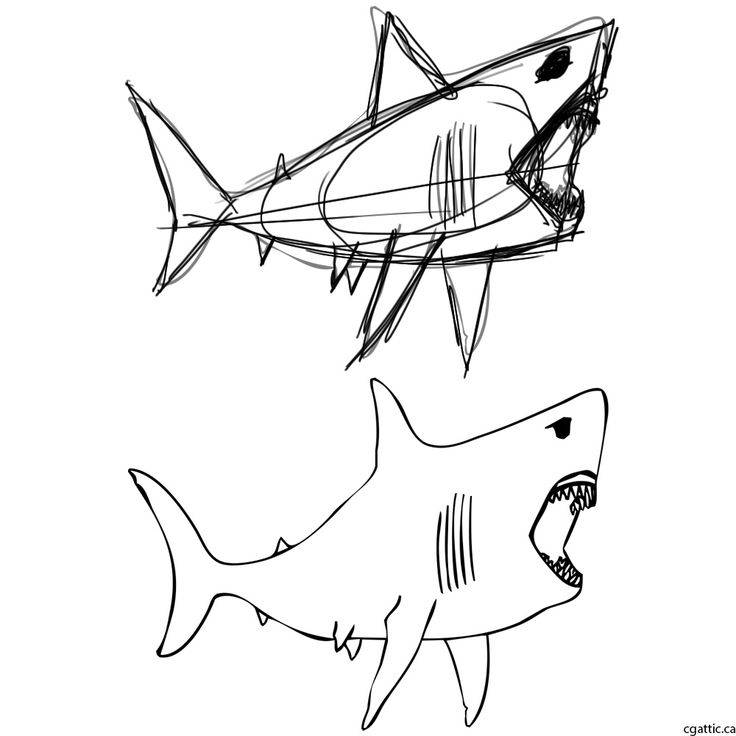 Как нарисовать акулу карандашом — поэтапные схемы создания рисунка. легкие и простые идеи, картинки для детей