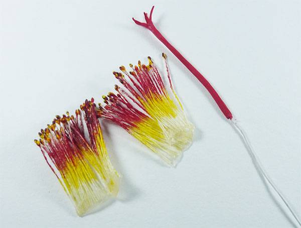 Цветы из ткани: мастер-класс по созданию из различных видов тканей и ниток (95 фото)
