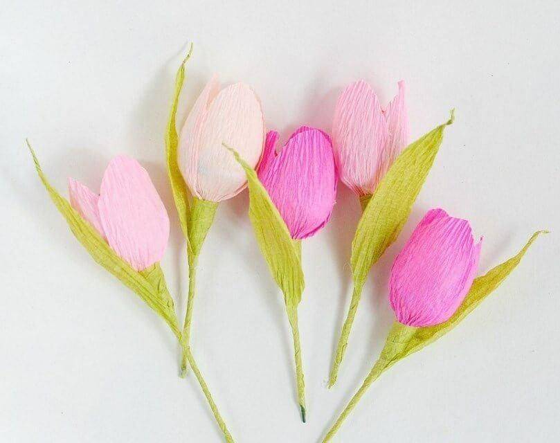Как сделать тюльпан из гофрированной бумаги своими руками: простой способ :: syl.ru