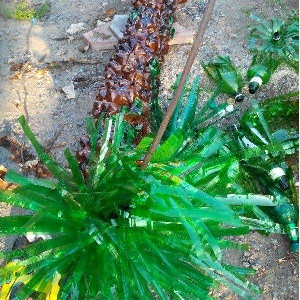 Пальма из пластиковых бутылок — превратите сад в экзотический остров. поэтапная инструкция по изготовлению.