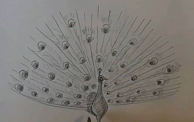 Как легко и красиво нарисовать орла — пошаговая инструкция