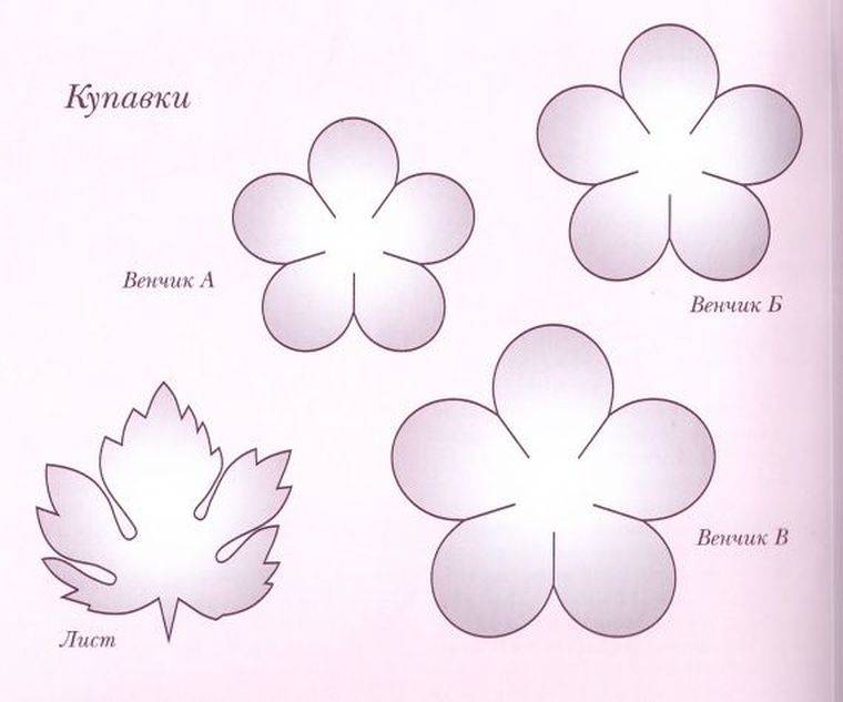 Цветы из фоамирана своими руками: схемы, шаблоны для начинающих
цветы из фоамирана своими руками: схемы, шаблоны для начинающих