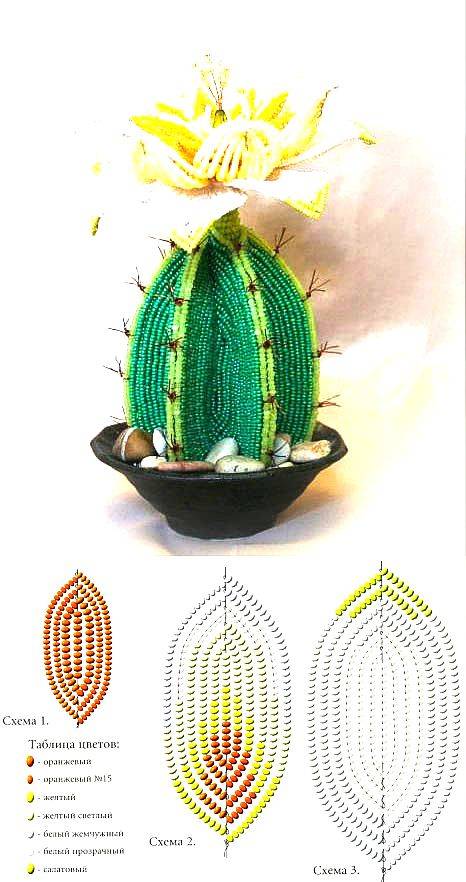 Кактус своими руками — мастер-класс выращивания и создания стильной поделки-кактуса (175 фото)