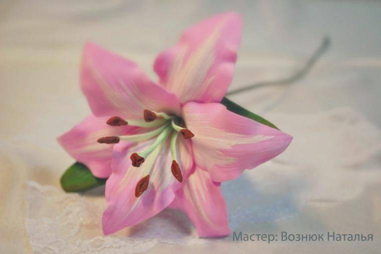 Цветы из фоамирана своими руками: мастер-класс изготовления красивых цветов
