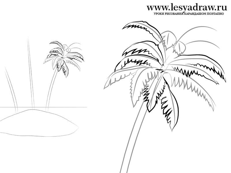 Нарисовать 3 пальмы. нарисовать пальму поэтапно, как нарисовать пальму карандашом
