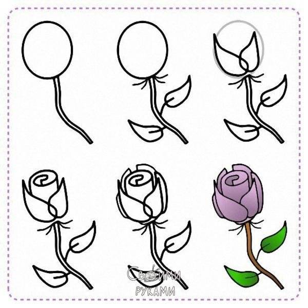 Как нарисовать красивую розу поэтапно легко (20 способов)