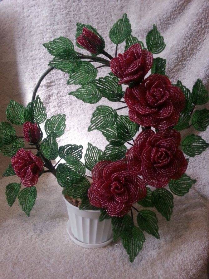 Букет роз из бисера - мастер-класс для начинающих