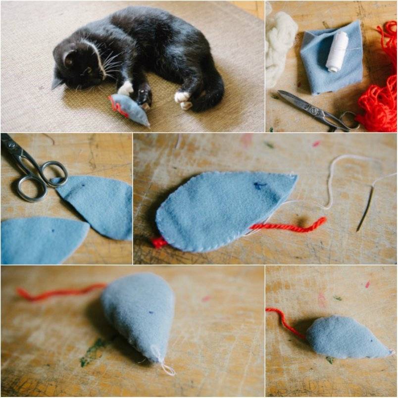Простые и быстрые способы, как сделать игрушку для котенка своими руками