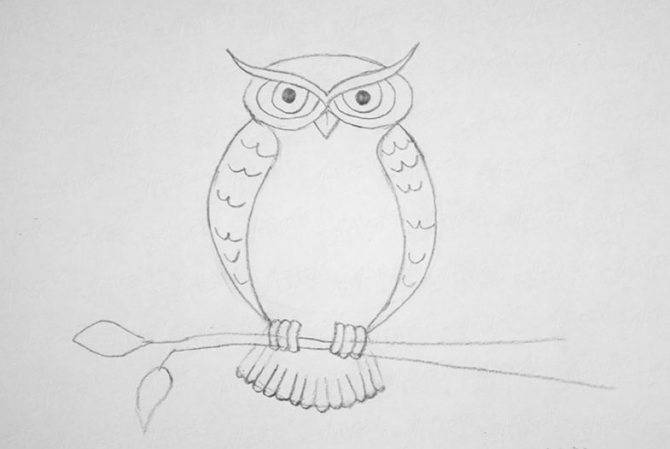 Как нарисовать сову карандашом (45 фото) - поэтапные мастер-классы