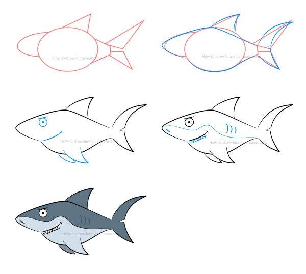 Как нарисовать акулу пошагово своими руками: учимся рисовать акулу карандашом по схемам и инструкциям для начинающих