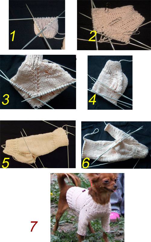 Одежда для собак своими руками: обучающие видео уроки с пошаговыми схемами вязания - все курсы онлайн