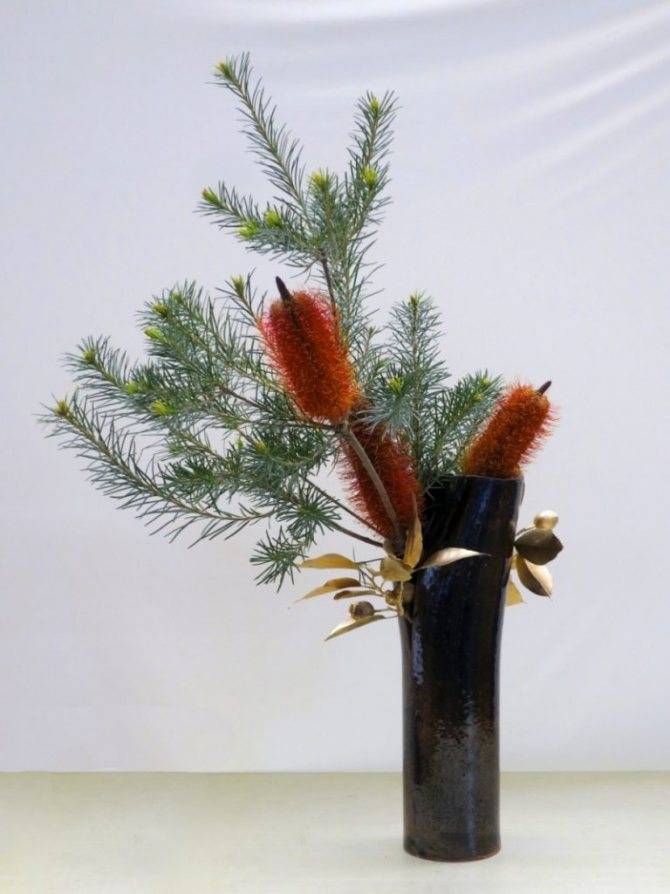 Икебана своими руками из природного материала - 62 фото идей оригинальных компоновок цветов