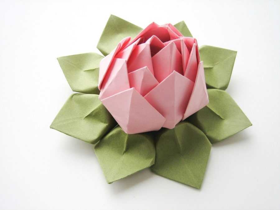 Цветы оригами и техника их выполнения. схемы для создания бумажных цветков: нежные лотосы, эффектная лилия, прекрасная маргаритка.