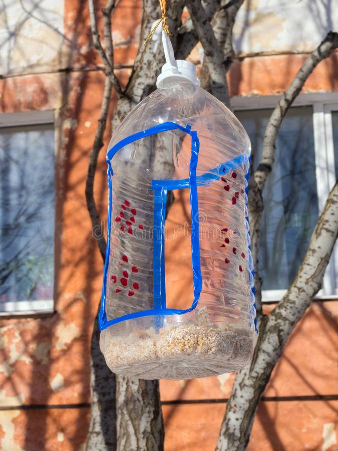 Кормушки из пластиковых бутылок своими руками: 70 фото и видео описание как сделать удобные и практичные кормушки