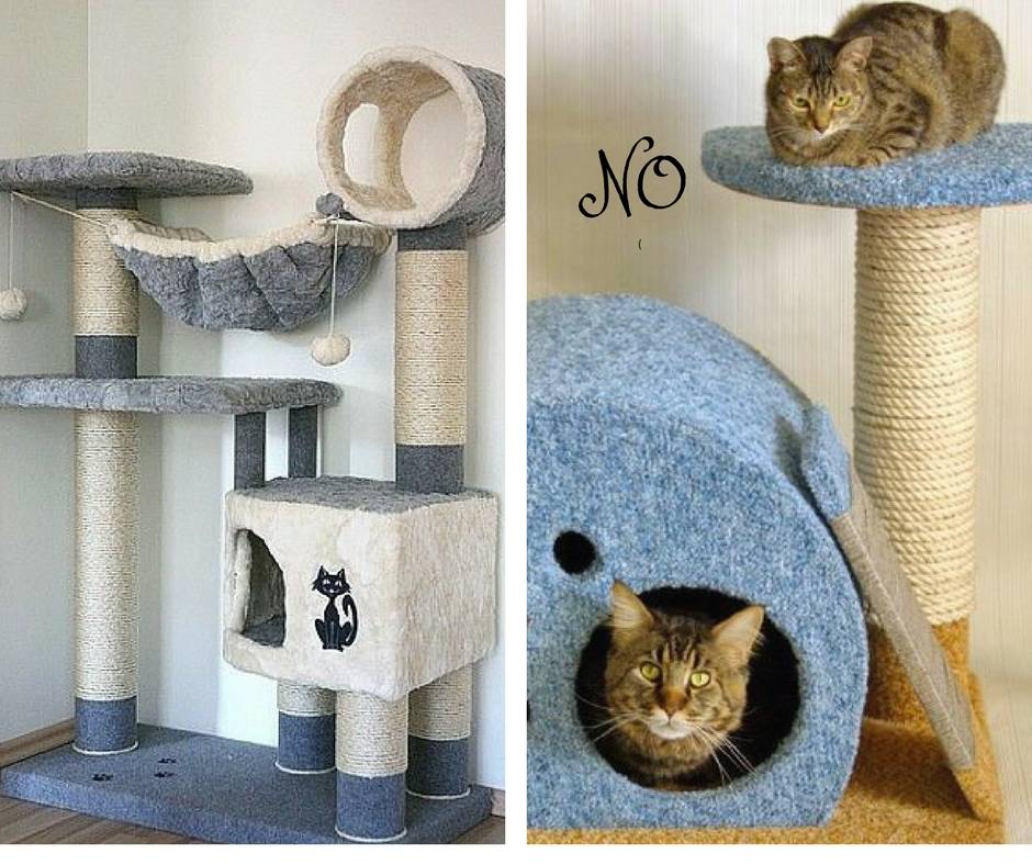 Домик для кошки своими руками: варианты, чертежи, размеры, каноны изготовления - сделай сам - медиаплатформа миртесен