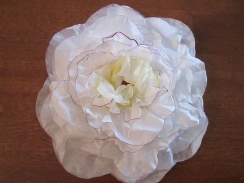 Делаем цветы пионы из гофрированной бумаги – руководство для начинающих и пошаговый мастер-класс как сделать цветок своими руками