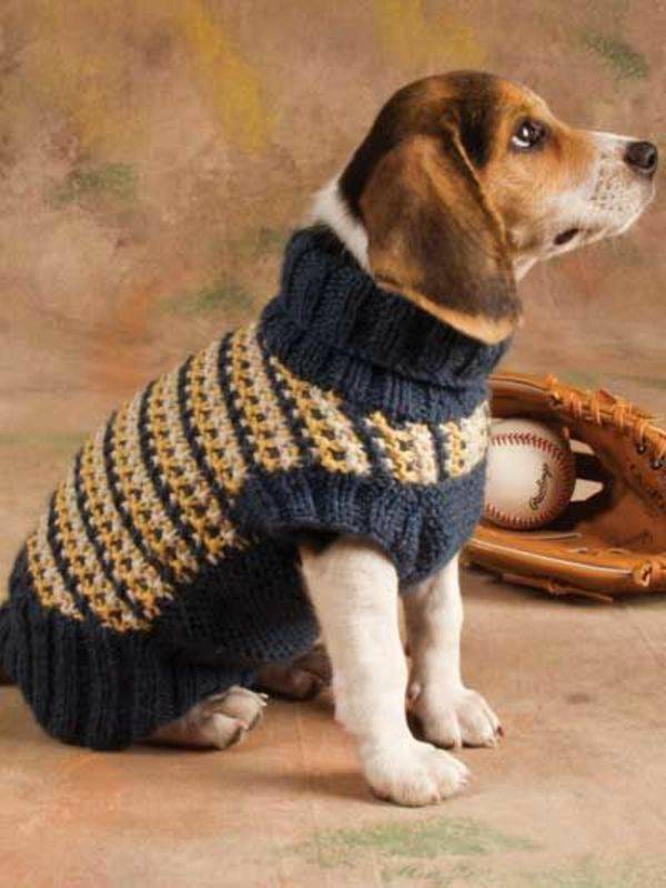 Одежка для маленькой собаки с описанием