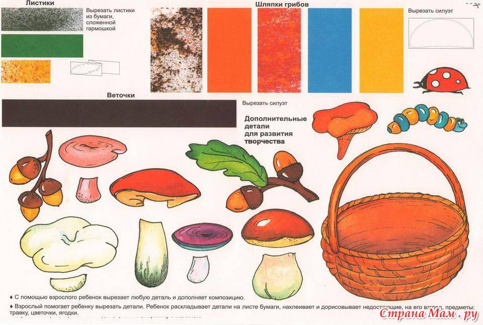 План грибы старшая группа