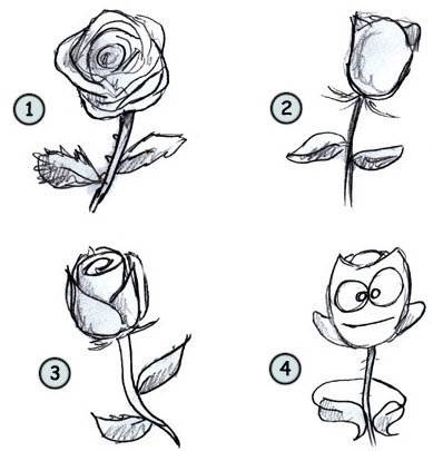 Как нарисовать розу карандашом? поэтапный урок для начинающих
