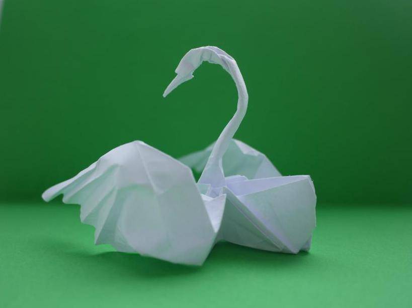 Как сделать лебедя из бумаги — модульное оригами для начинающих, учимся складывать своими руками, фото лучших схем