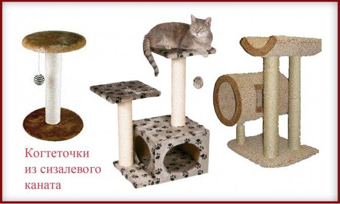 Лежанка для кошки своими руками - 125 фото, обзор чертежей и выкройки кошачьих лежанок