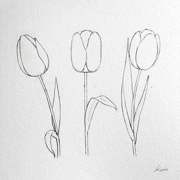 Как нарисовать букет тюльпанов  поэтапно 3 урока