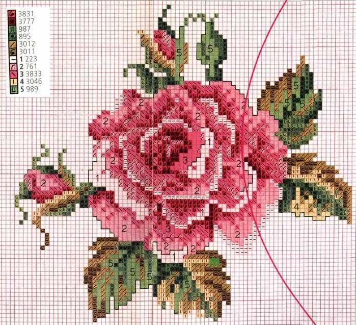 Вышивка крестом: схемы роз для будущих мастеров