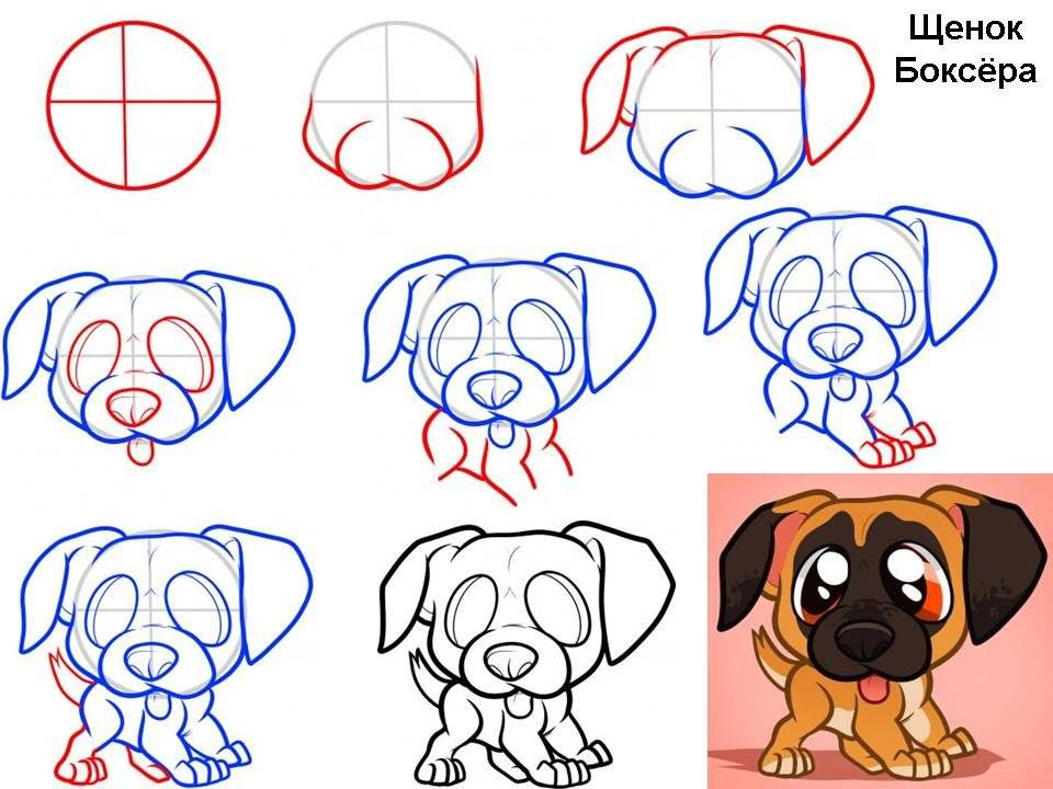 Как нарисовать собаку карандашом легко и красиво: поэтапная инструкция с описанием для начинающих и детей