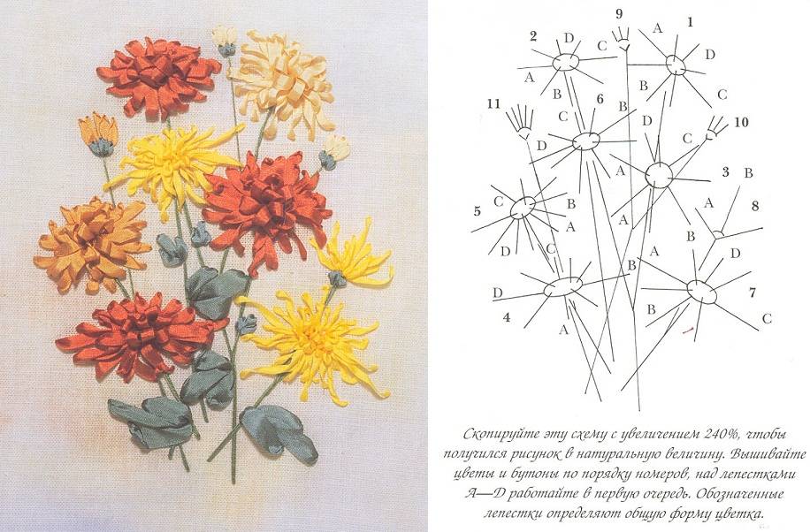 Хризантема схема. Вышивка лентами схемы. Простые схемы вышивки лентами. Схемы цветов для вышивки лентами. Вышивка лентами цветы схемы.