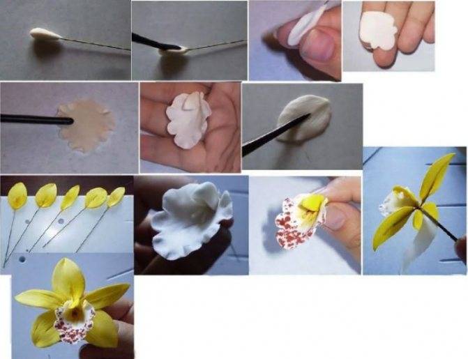 Как сделать цветы из мастики своими руками. рекомендации