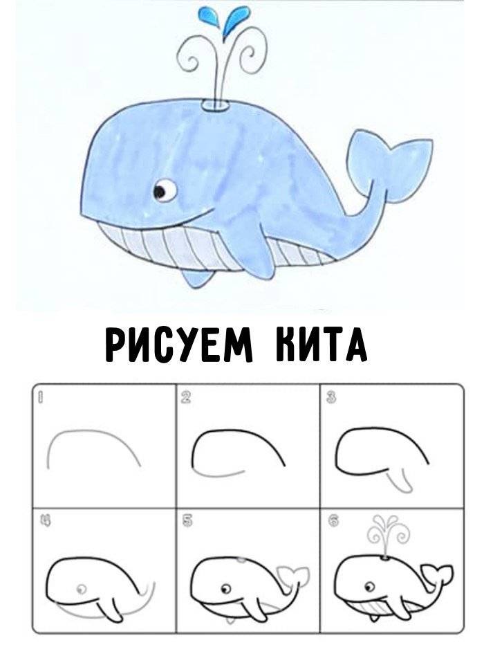 Как нарисовать кита поэтапно для детей лёгким способом