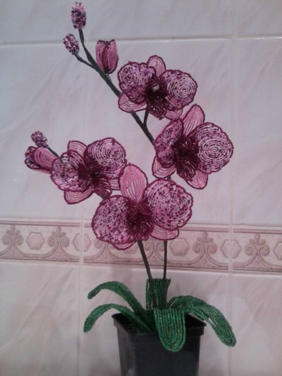 Как украсить дом экзотическими цветами, сделанными своими руками: схема орхидеи из бисера