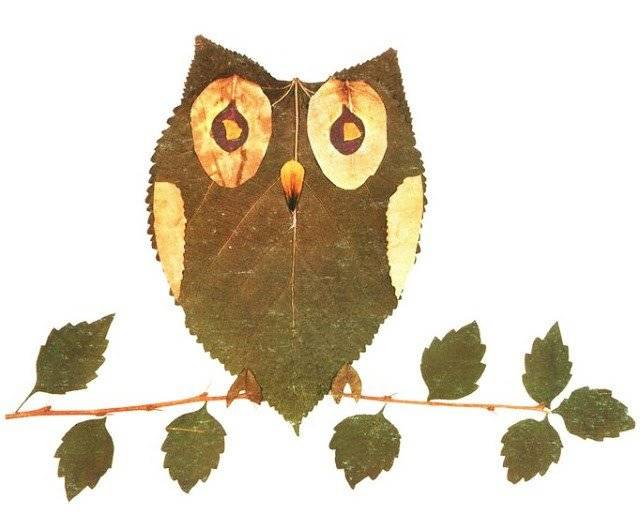 Поделка сова своими руками из бумаги, листьев, картона и другого природнего материала