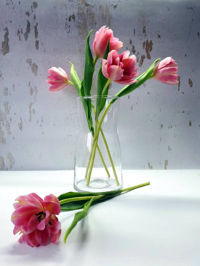 Цветы из холодного фарфора для начинающих — мастер-классы шаг за шагом как сделать фарфоровые цветы