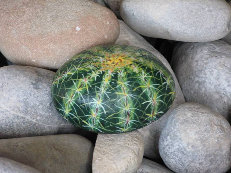Чудо-роспись: превращаем морской камень в кактус