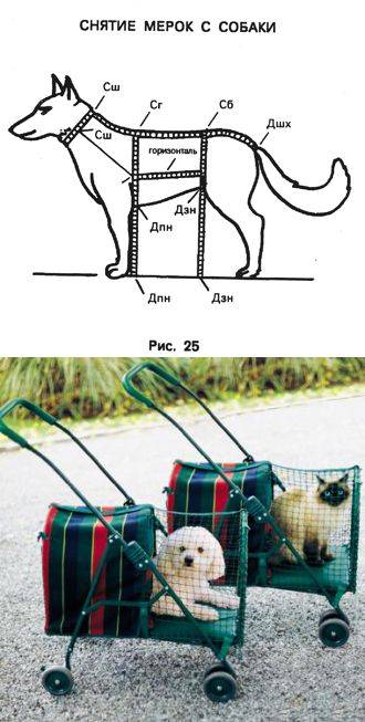 Гардероб для очаровательного питомца: как создать нарядную и практичную кошачью одежду